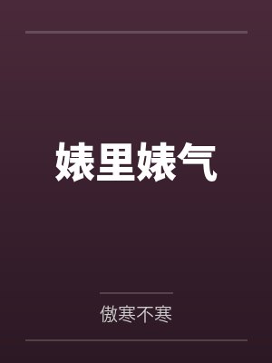 婊里婊气封面