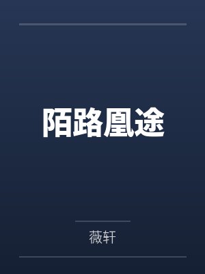 陌路凰途封面