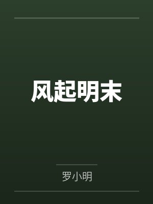 风起明末封面