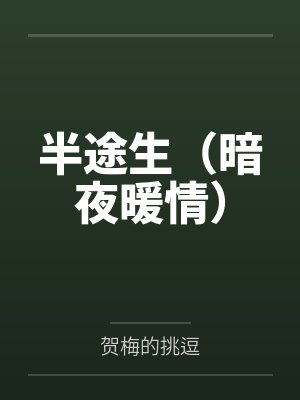 半途生（暗夜暖情）封面