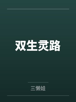 双生灵路封面