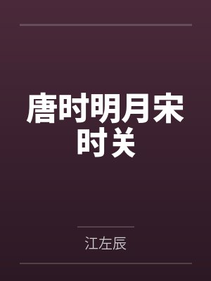 唐时明月宋时关封面