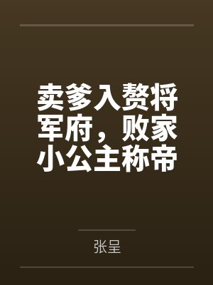 孟爽王正封面