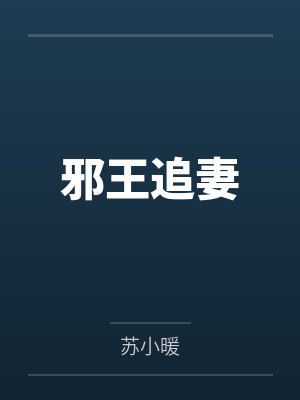 邪王追妻封面