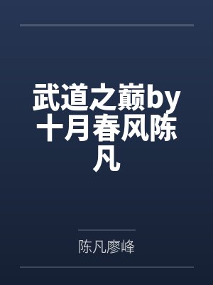 武道之巅剧情介绍封面