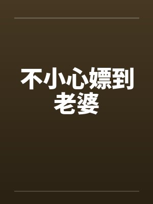 不小心嫖到老婆封面