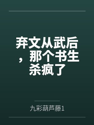 弃文从武后,那个书生杀疯了封面