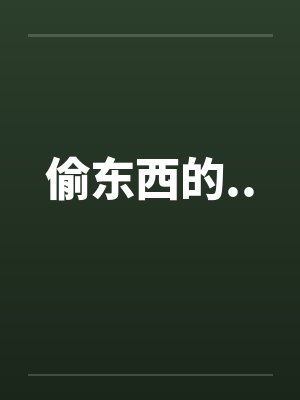 偷东西的..封面