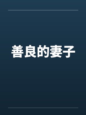 善良的妻子封面