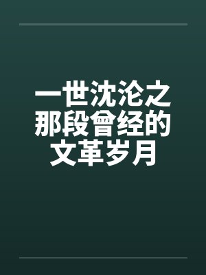 一世沈沦之那段曾经的文革岁月封面
