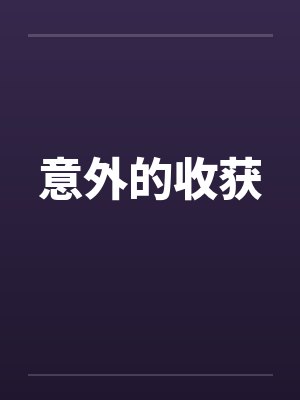 意外的收获封面