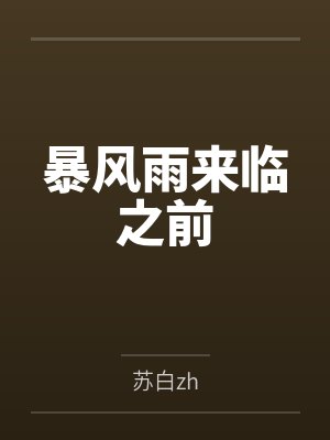 暴风雨来临之前封面