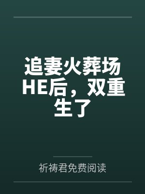 追妻火葬场HE后，双重生了笔趣阁无弹窗封面