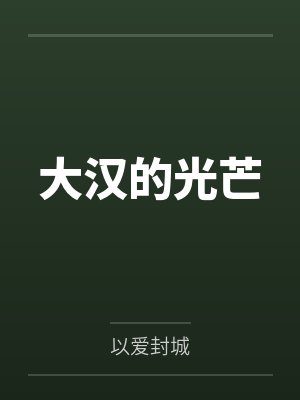 大汉的光芒by以爱封城封面