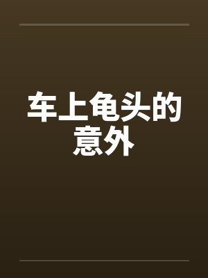 车上龟头的意外封面