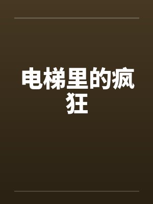 电梯里的疯狂封面